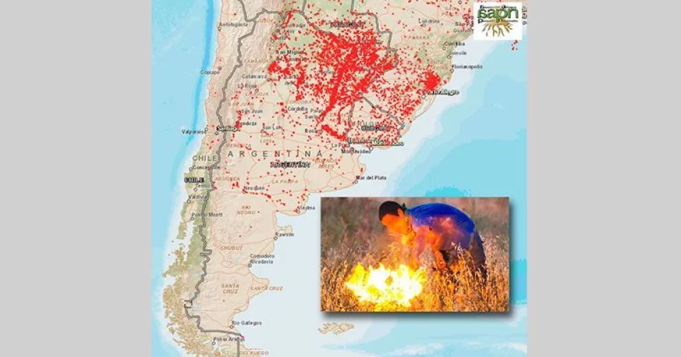 Trece provincias reportan fuegos provocados por los incendiarios