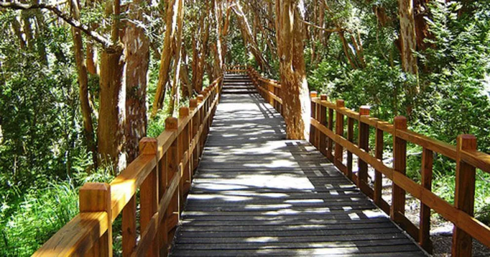 Para la Cámara de Turismo el aumento de Parques es un "atentado" contra la actividad