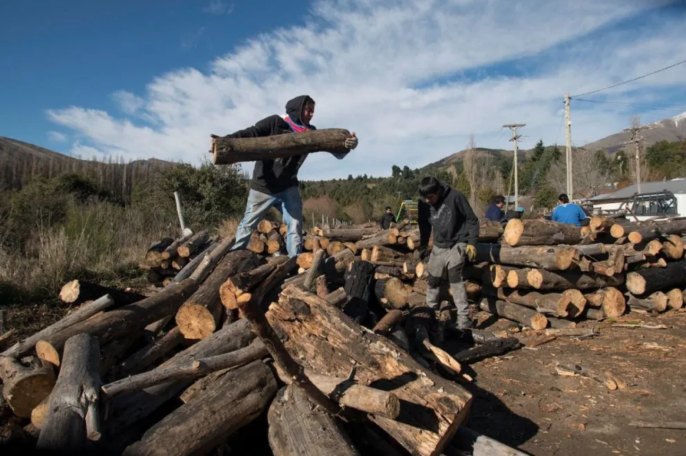 Plan Calor: Estos son los días y horarios para la entrega de leña