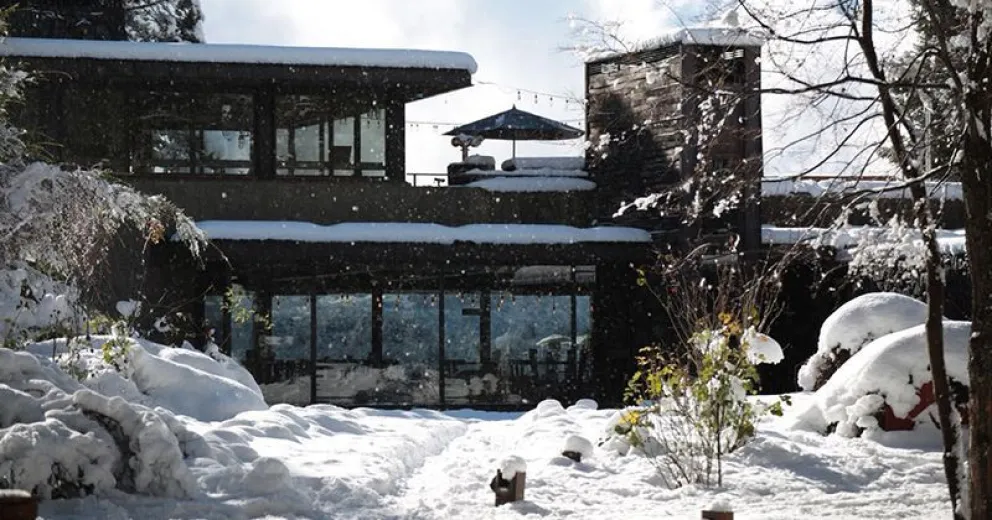 Cerveza Patagonia ofrece diferentes alternativas de bebidas sin alcohol