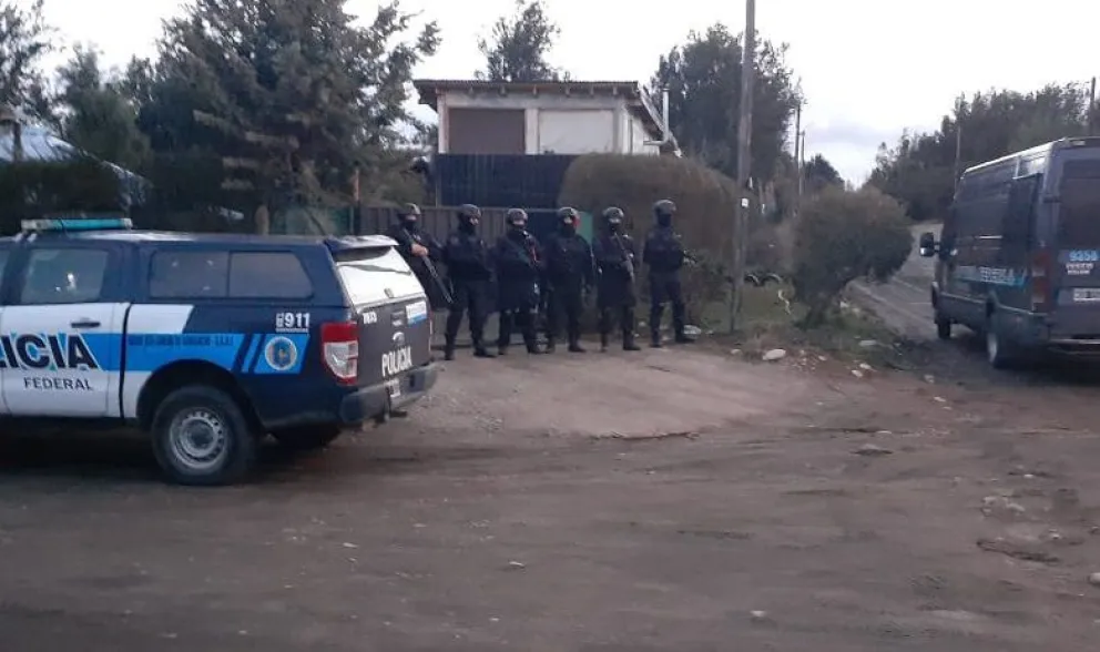 Secuestraron más de un centenar de plantas de marihuana