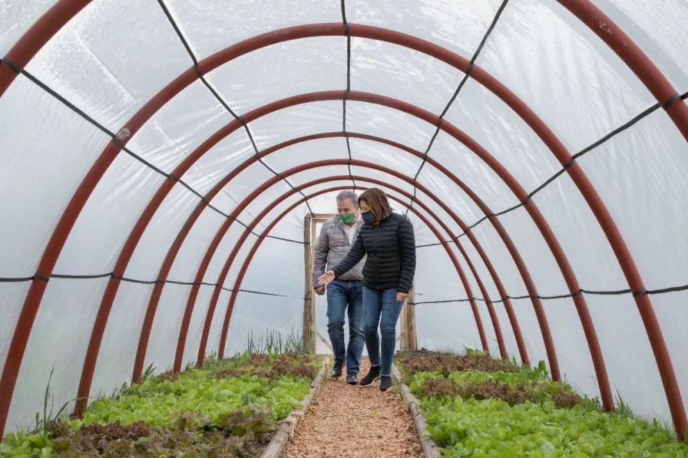 Arabela Carreras: "Los invernaderos escuela buscan recuperar la cultura de trabajar la tierra"