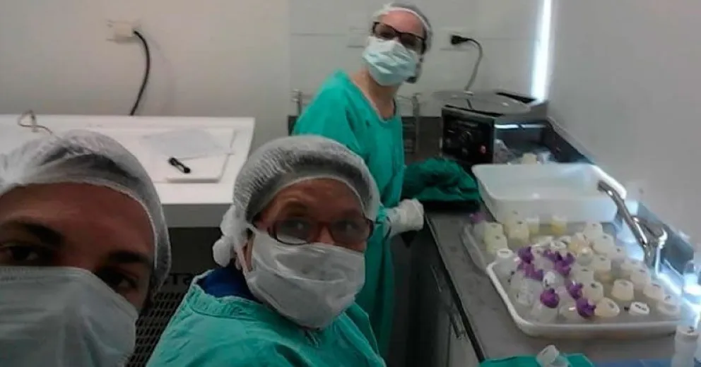 A dos años de crearse, el Banco de Leche Humana cumple un rol fundamental para los recién nacidos