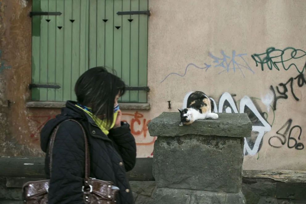 La provincia sumó 210 infectados y ocho decesos este viernes