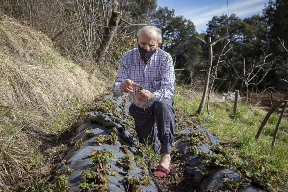 La historia detrás de la amenaza de desalojo a los pobladores de Colonia Suiza