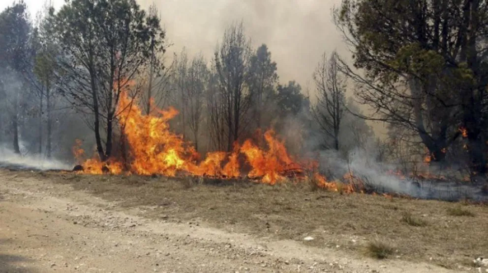 En Córdoba siguen activos los incendios y piden políticas de prevención