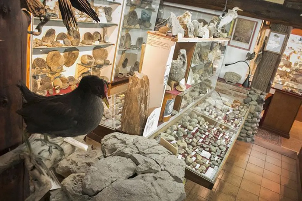 "Nos echaron la culpa del cierre del museo, pero ya sabíamos lo que pasaba"