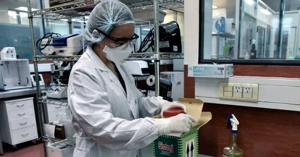 En Argentina murieron 337 personas y hubo 11.249 nuevos casos de coronavirus