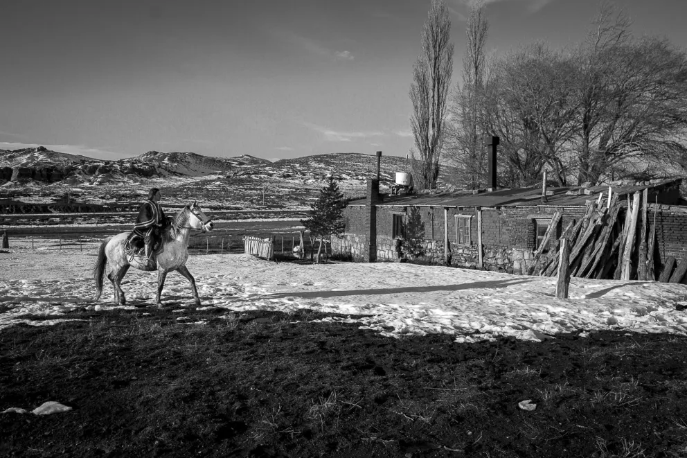 EMOCIONES ENCONTRADAS: El Solitario