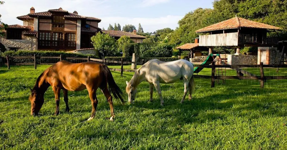 El turismo rural se presenta como una buena alternativa al turismo tradicional