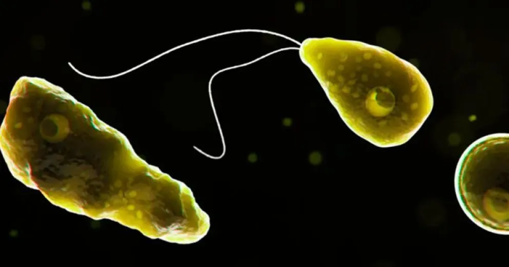 Temor en Texas por una ameba “comecerebros” que mata en cinco días