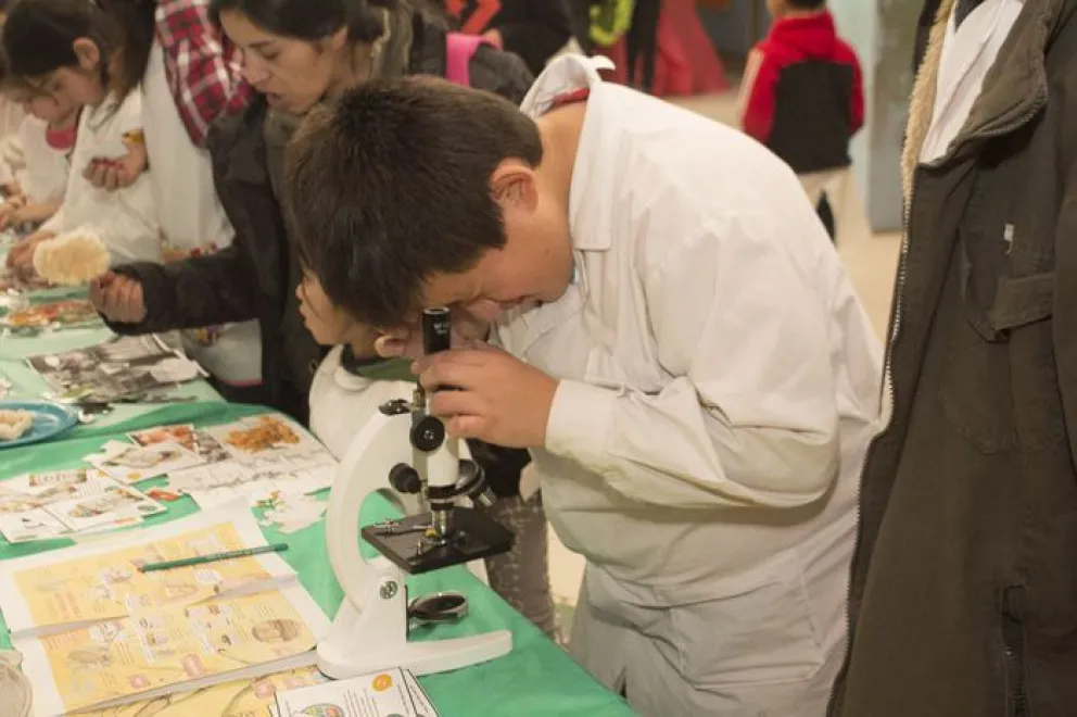 Marisa Vigo contó su experiencia en la escuela 255: "hay que evitar que existan chicos en desventaja"