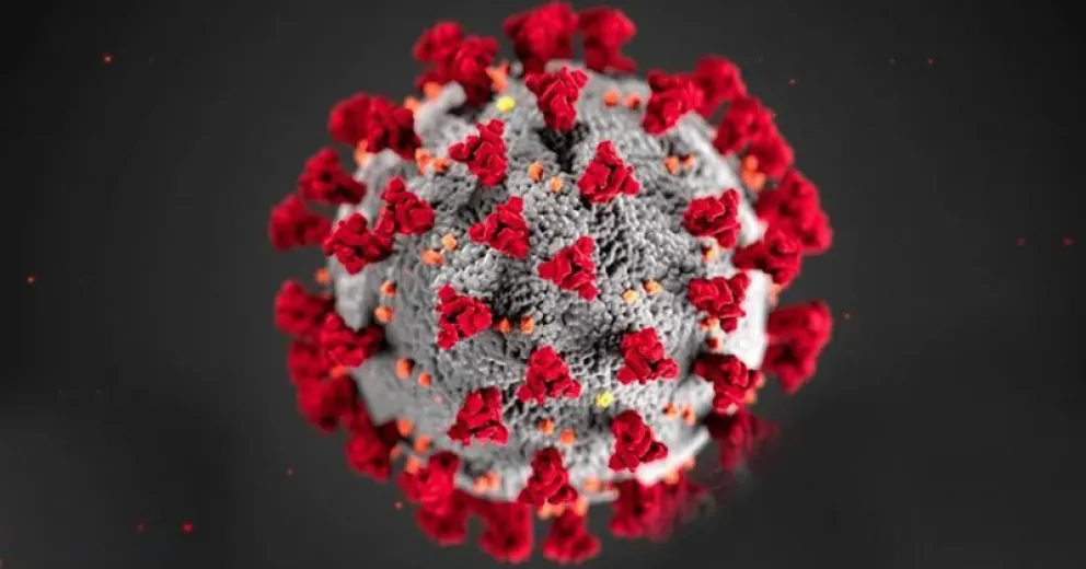 La OMS confirma que el origen del Coronavirus es “natural”