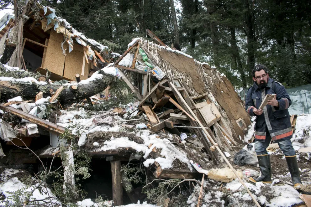 Un árbol cayó sobre su casa: Se salvaron de milagro y empezaron a construir con ayuda