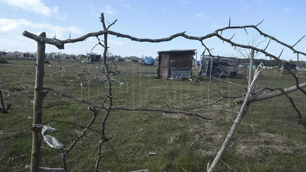 El desalojo de Guernica se postergó hasta mediados de octubre