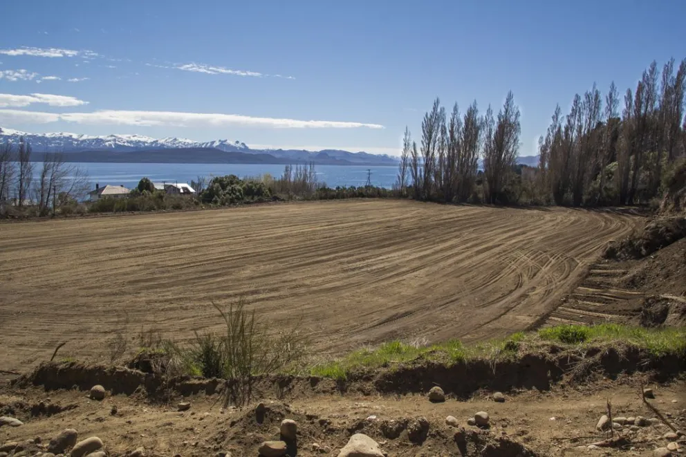 Cruz del Sur ya alquila su futura cancha  para cuando se habilite el fútbol