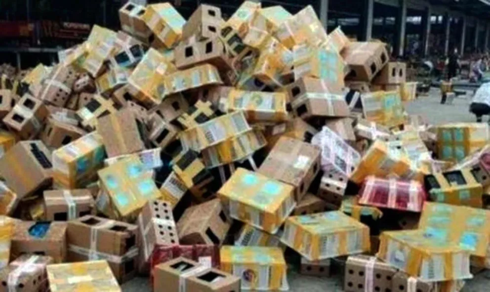 Encuentran más de 5.000 mascotas muertas en un depósito de China