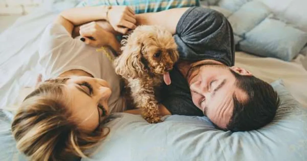 ¿Qué es la petofilia?