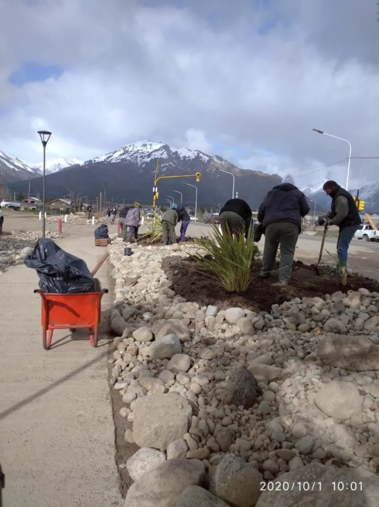 Embellecen el Paseo del Sur con 1120 plantas