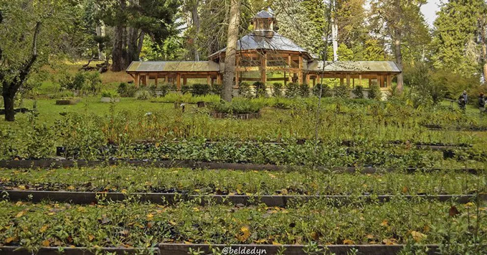 El Senado declara de Interés el Jardín Botánico de isla Victoria
