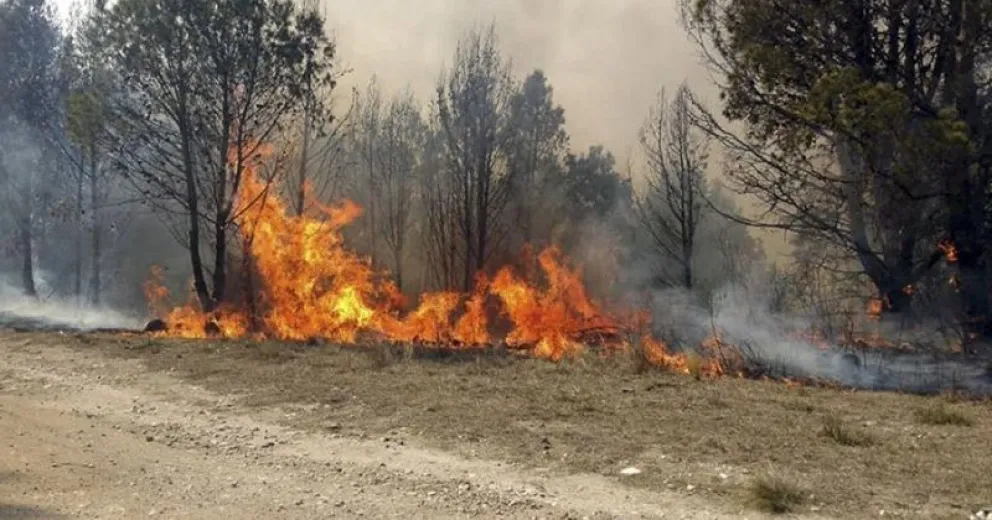 Córdoba: mas de 190 mil hectáreas arrasadas por el fuego
