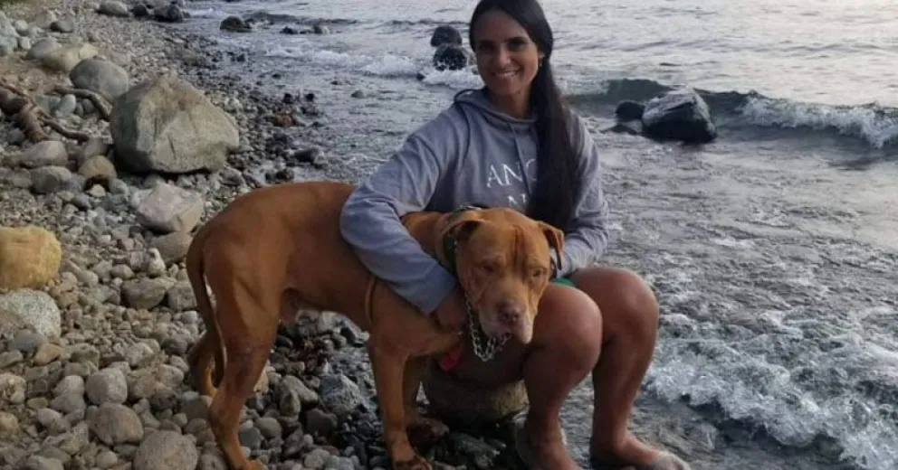 Viajó hasta Buenos Aires para adoptar a un pitbull brutalmente atacado que no encontraba hogar