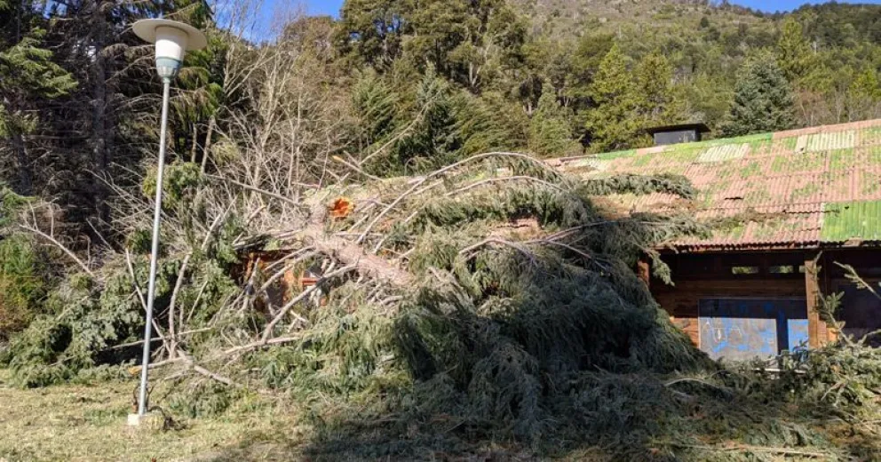 “Se ve que un guiño de alguien tienen”