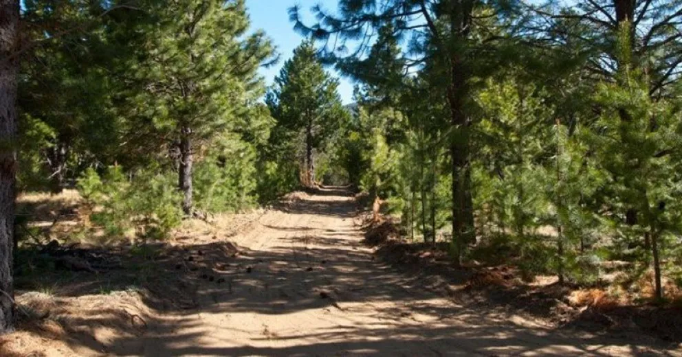 Siguen robando cosas de un barrio privado