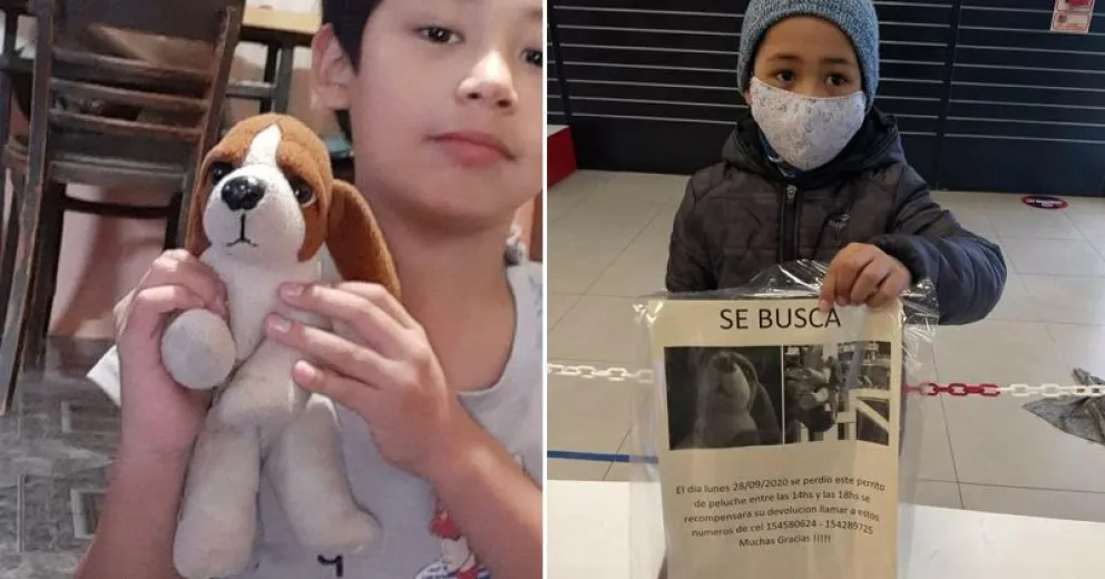 Se ofrece recompensa por un perro perdido, pero es de peluche