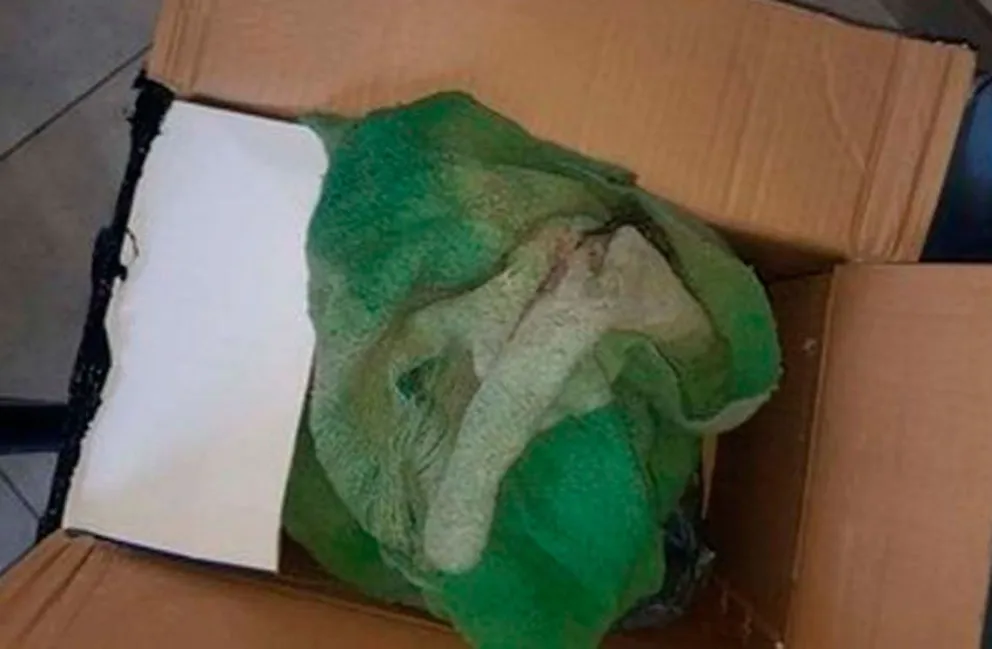 Estafa virtual: compró por Mercado libre y le llegó una frazada vieja y sucia