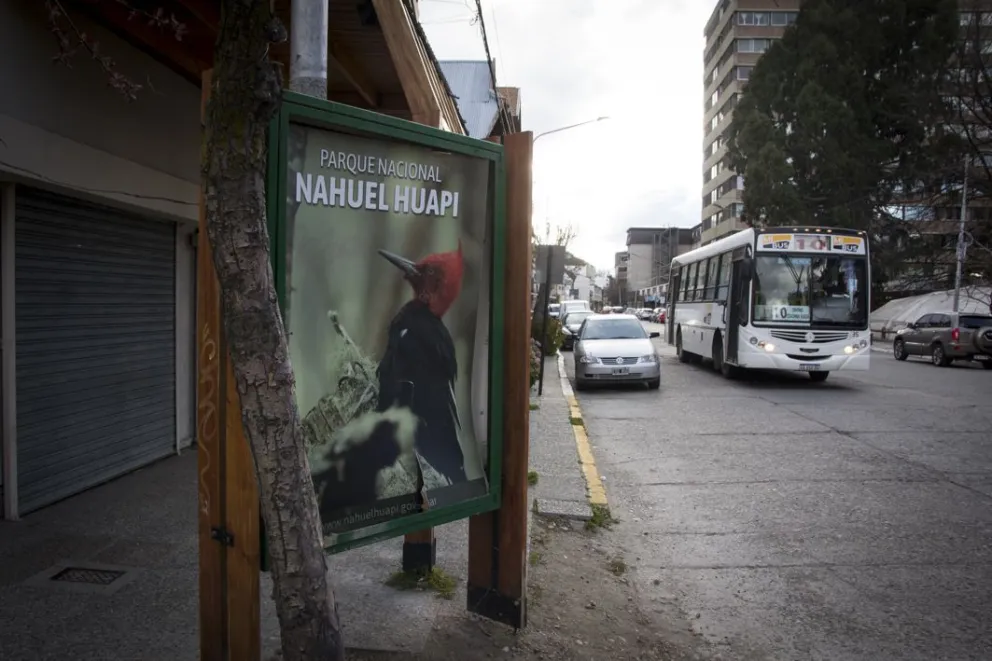 Colocarán 100 garitas de colectivo: habrá nuevas y reemplazarán otras