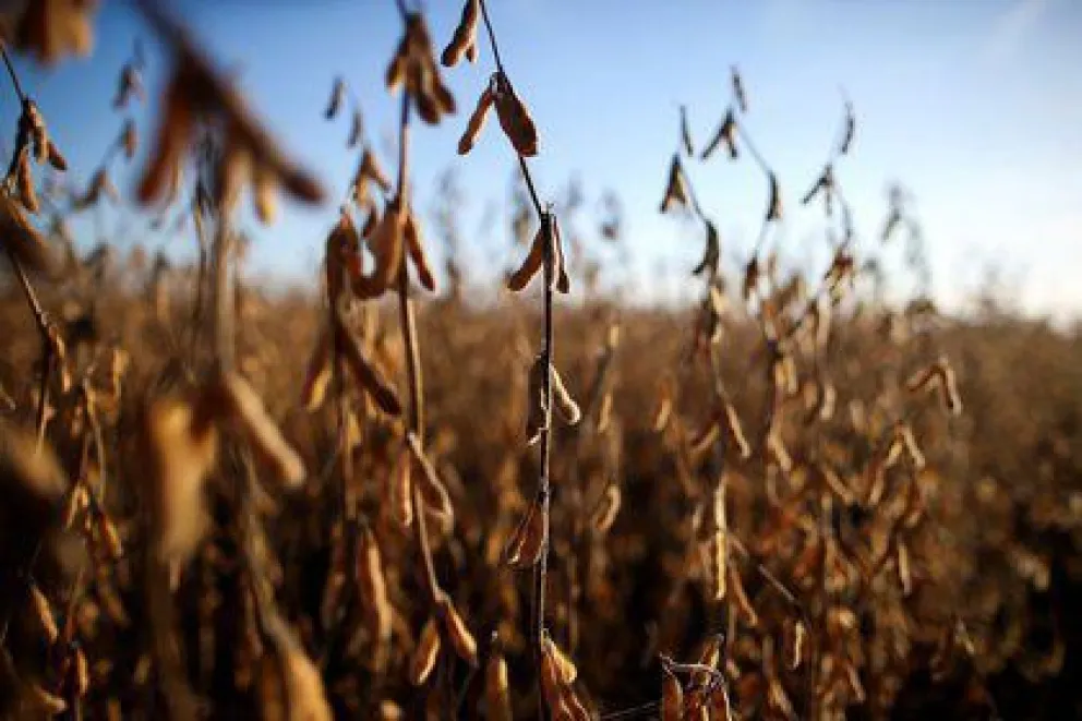 El sistema alimentario actual "devora" el 70 por ciento del planeta