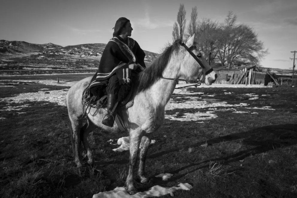 EMOCIONES ENCONTRADAS: Don Rosa Romero