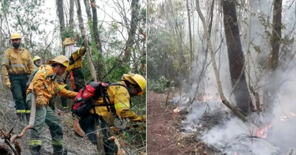 Arden en Jujuy casi mil hectáreas del Parque Nacional Calilegua