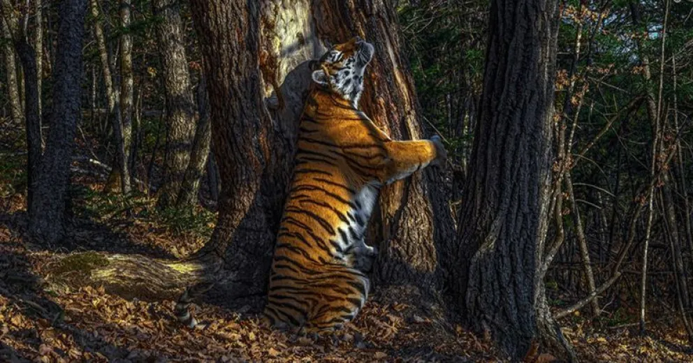 Once meses tardó en poder retratar “El abrazo”