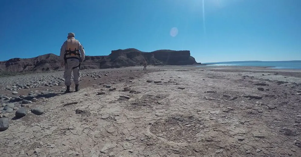 Encuentran en El Chocón pisadas de dinosaurios de hace casi cien millones de años