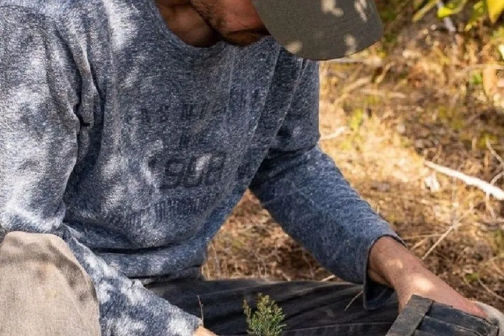 Plantan 3500 árboles nativos en cerro Catedral para reforestar el bosque incendiado