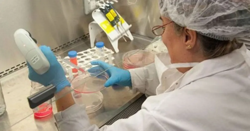 Utilizan anticuerpos de llamas y huevos para neutralizar el Covid