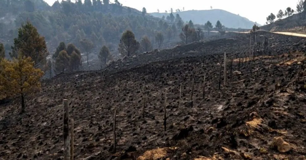 Los incendios en Córdoba se apagaron gracias a las intensas lluvias