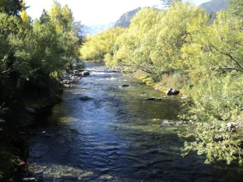 Desalojaron una toma en un lote a orillas del Río Quemquentreu e imputaron a una decena de personas