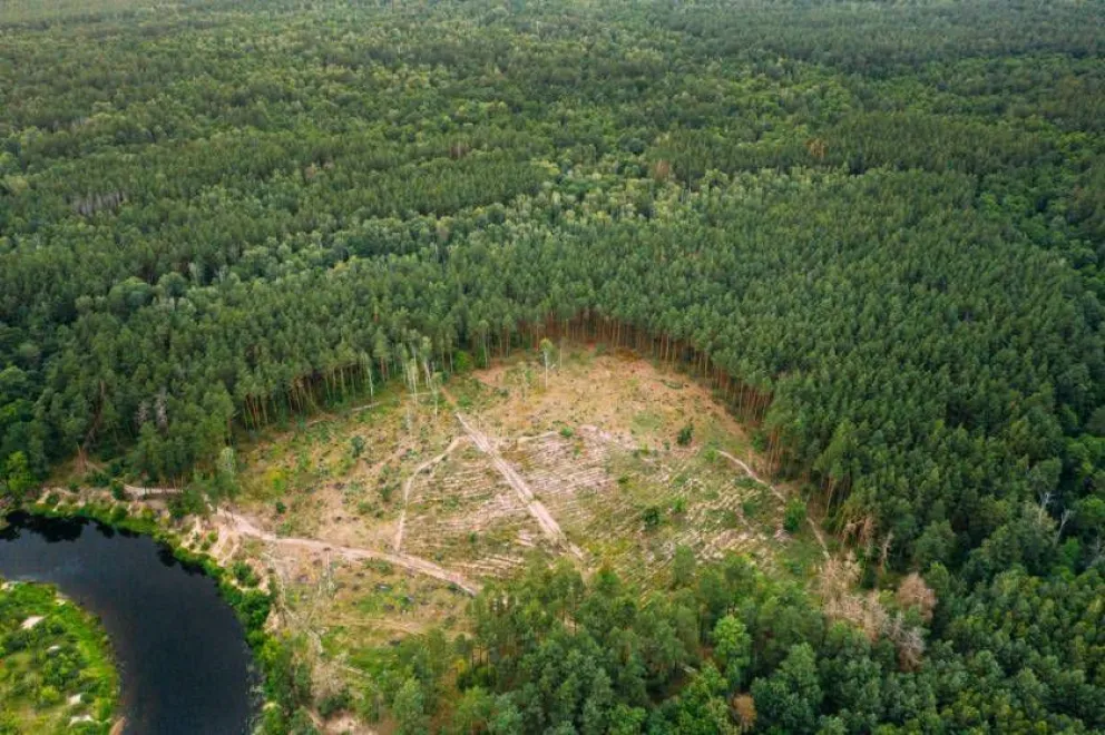 Día Mundial contra el Cambio Climático: “Estamos en un proceso de transición”