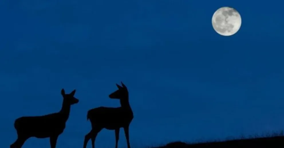 "Luna Azul", un raro fenómeno que podrá verse este sábado