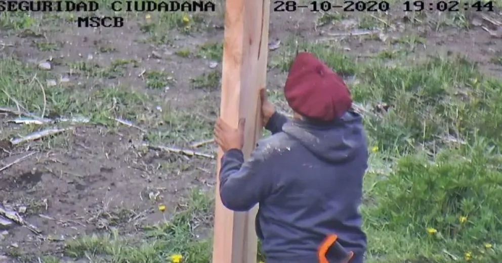 Un hombre fue grabado varias veces mientras robaba en el Vivero Municipal