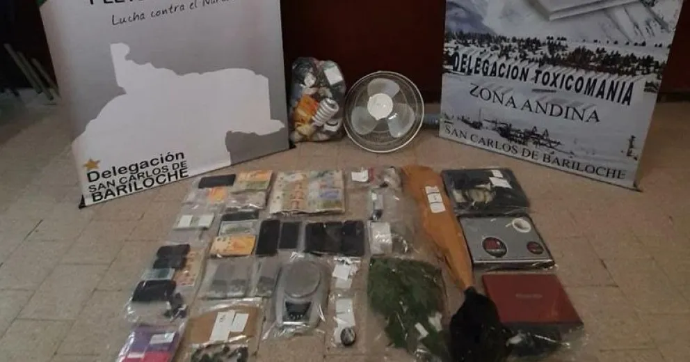 Secuestraron cocaína, marihuana y hongos alucinógenos