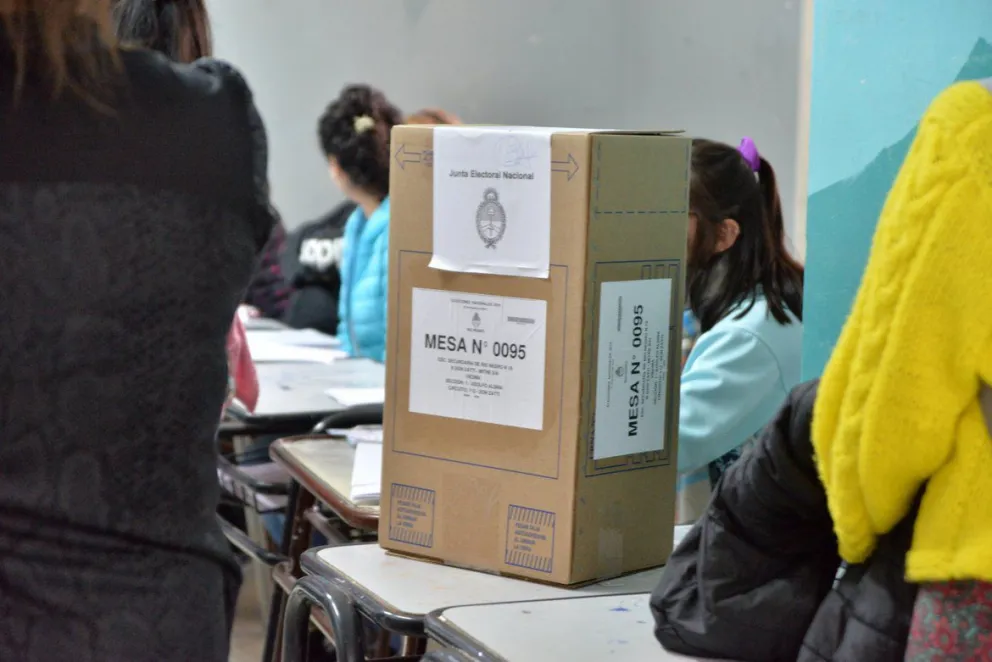 ¿Se hacen las PASO?: en Río Negro y el país más referentes dicen que “no”