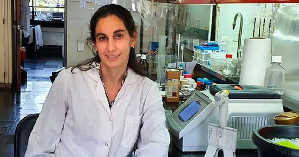 Estudian “fábricas virales” del agente causal de la bronquiolitis