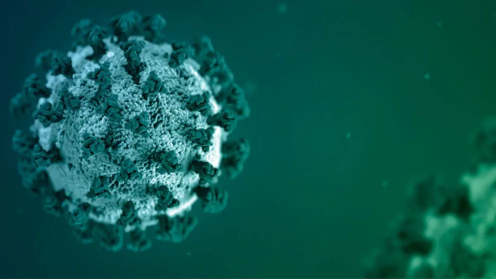Científicos publican la circulación de “otros” coronavirus en Córdoba
