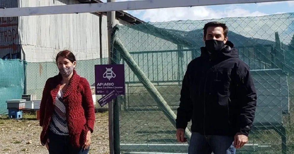 Instalarán la primera sala para extracción de miel comunitaria