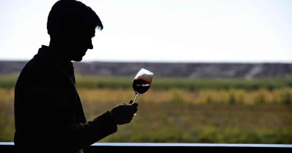 Un tinto rionegrino fue elegido “vino del año”