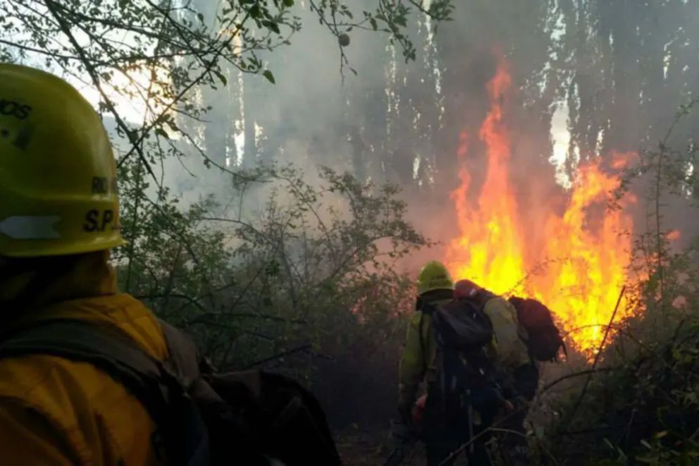 Frenan la especulación inmobiliaria: Diputados dio media sanción a Ley de Manejo del Fuego